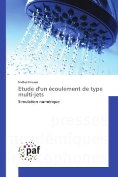 Etude d'un écoulement de type multi-jets