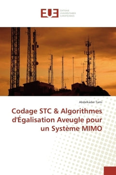 Codage STC & Algorithmes d'egalisation Aveugle pour un systeme MIMO