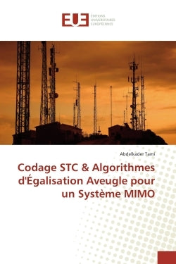 Codage STC & Algorithmes d'egalisation Aveugle pour un systeme MIMO