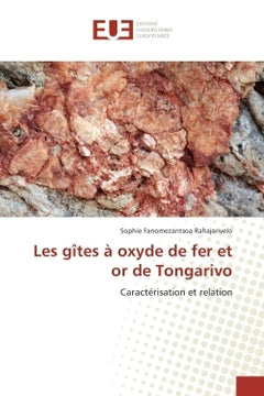 Les gîtes A oxyde de fer et or de Tongarivo