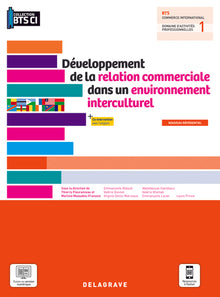 Développement de la relation commerciale dans un environnement interculturel, BTS Commerce international (2021)
