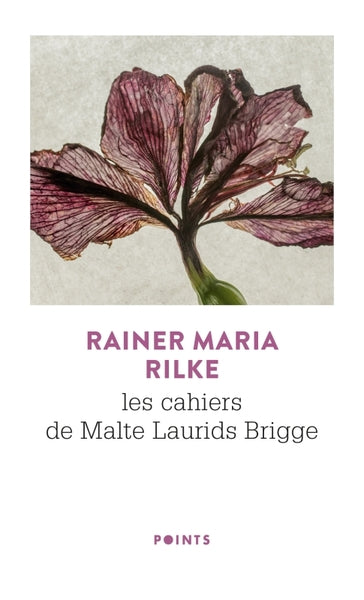 Les carnets de Malte Laurids Brigge