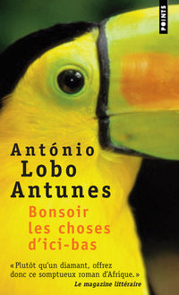 bonsoir les choses d'ici bas