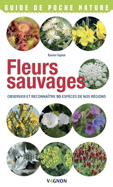Fleurs sauvages