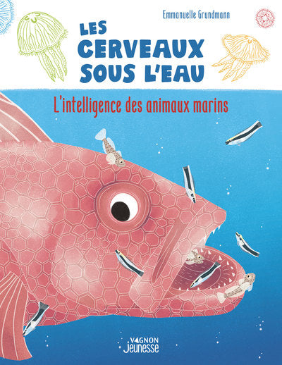 Les Cerveaux sous l'eau - L'Intelligence des animaux marins
