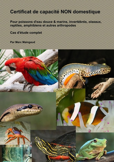 Certificat de capacité non domestique