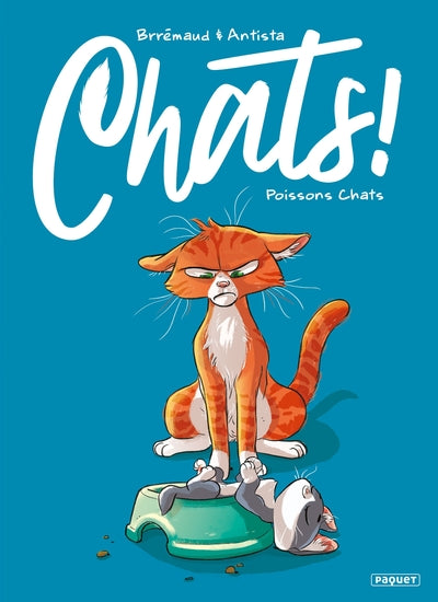 CHATS ! - T5 -