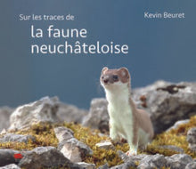 Sur les traces de la faune neuchâteloise