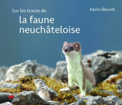 Sur les traces de la faune neuchâteloise