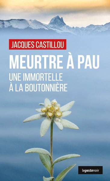 Meurtre à Pau - Une immortelle à la boutonnière
