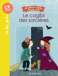 Les fabuleux voyages de Ninon et Lila, Tome 03: Le cagibi des sorcières