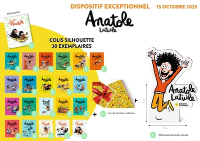 Colis 30 vol silhouette - Anatole Idées folles - oct 25