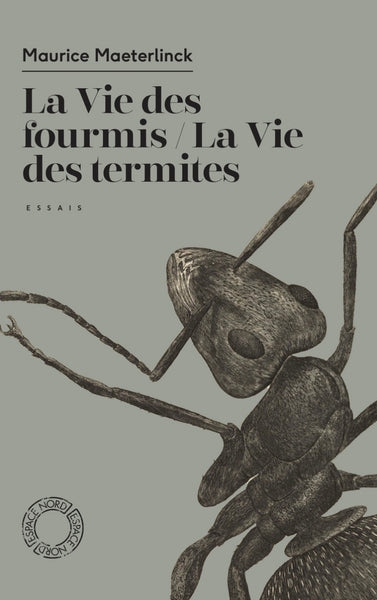La vie des termites / La vie des fourmis