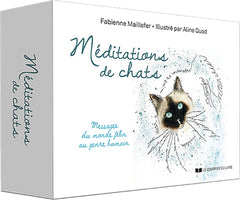 Méditations de chats