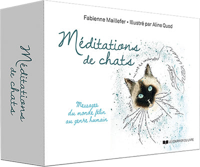 Méditations de chats