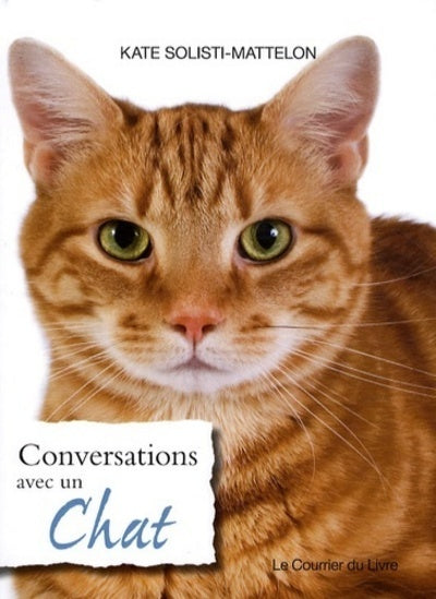 Conversation avec le chat