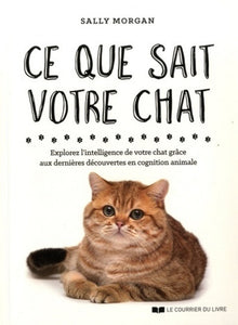 Ce que sait votre chat