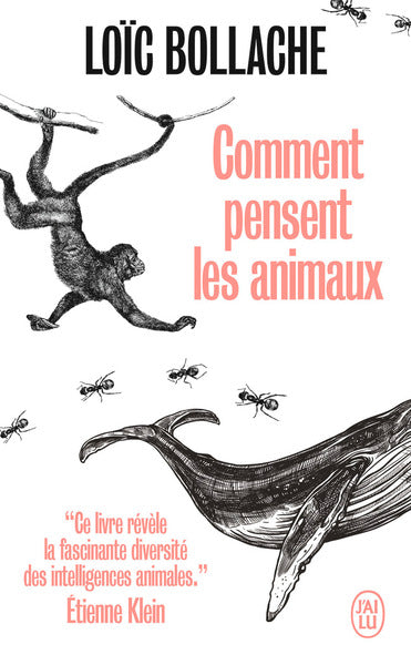 comment pensent les animaux