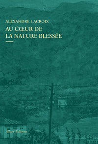 Au coeur de la nature blessee - Apprendre a voir les paysages du XXIe siecle