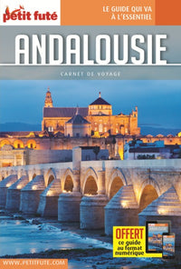 Guide Andalousie 2023 Carnet Petit Futé
