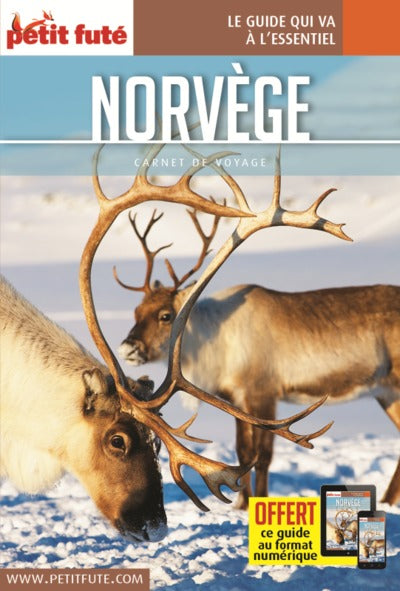 Guide Norvège 2019 Carnet Petit Futé