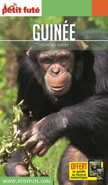 Guide Guinée 2020 Petit Futé