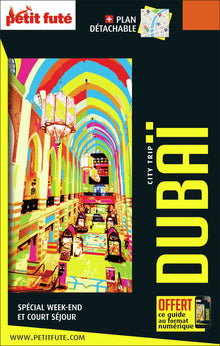 Guide Dubaï 2022-2023 City trip Petit Futé