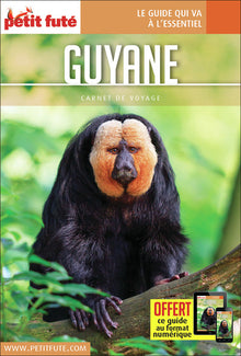 Guide Guyane 2019 Carnet Petit Futé
