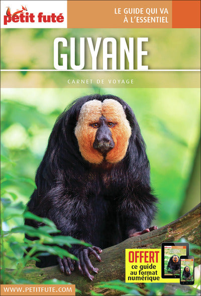 Guide Guyane 2019 Carnet Petit Futé