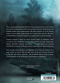 Quicksilver - Fae & Alchimie T1