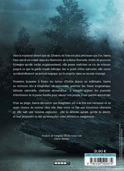 Quicksilver - Fae & Alchimie T1