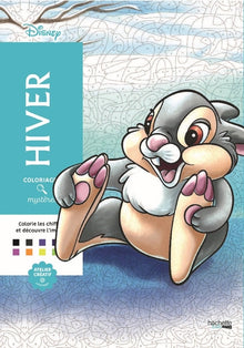 Coloriages mystères Disney - Hiver