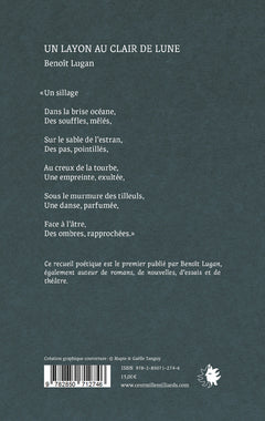 Un layon au clair de lune