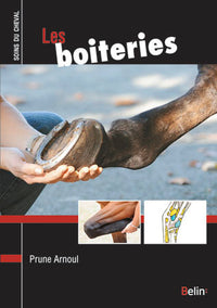 Les boiteries