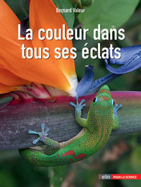 La couleur dans tous ses éclats