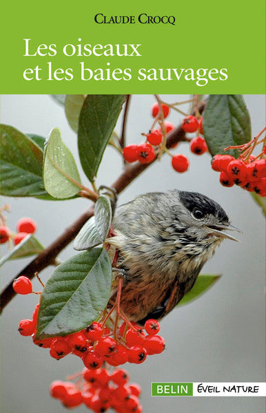 Les oiseaux et les baies sauvages