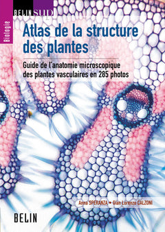 Atlas de la structure des plantes: Guide de l'anatomie microscopique des plantes vasculaires en 285 photos