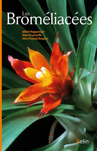 Les Broméliacées