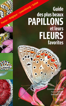 Guide des plus beaux papillons et leurs fleurs favorites