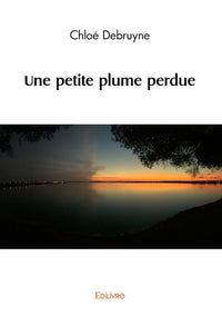 Une petite plume perdue