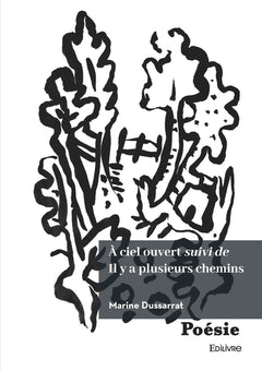 À ciel ouvert suivi de Il y a plusieurs chemins