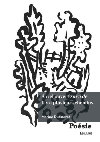 À ciel ouvert suivi de Il y a plusieurs chemins