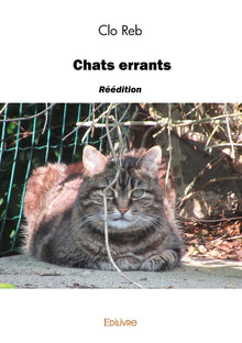 Chats errants