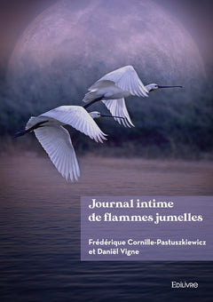 Journal intime de flammes jumelles