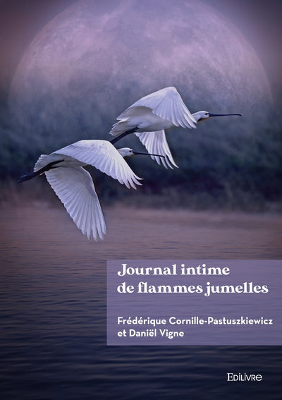 Journal intime de flammes jumelles