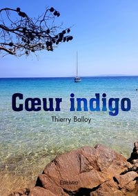 Coeur indigo