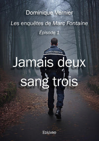 Les enquêtes de Marc Fontaine