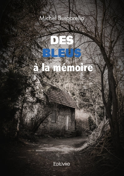 Des bleus à la mémoire
