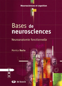 Bases de neurosciences: Neuroanatomie fonctionnelle