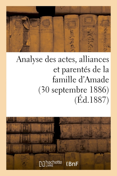 Analyse des actes, alliances et parentés de la famille d'Amade
